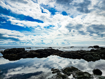 Vancouver Island / Looking out at the ocean from Sandcut