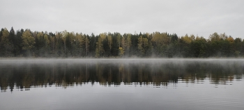 &nbsp; / lake fog-3