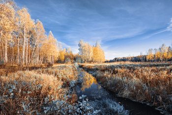 Goldener Herbst / ***