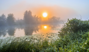 Sommermorgen. / ***