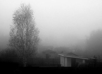 Herbstnebel / ***