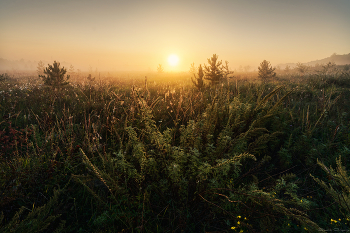 Guten Morgen! / ***