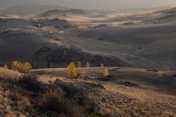 Altai Herbst / ***