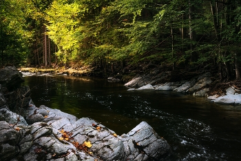 mountain River / ***