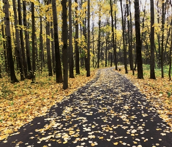 Herbst in der Stadt / ___