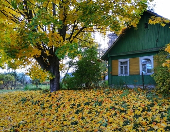 Haus im Dorf. / ***