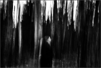 Mysterious Forest / ***