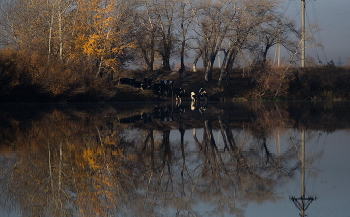 An der Tränke / ***