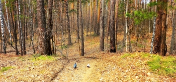 Herbst Wanderung / ***