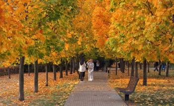 Autumn Gatchina / ***