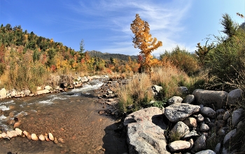 Herbst auf dem Fluss / ***