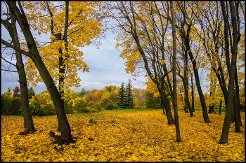 Herbst-Skizzen / ***