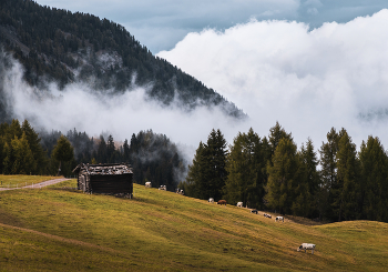 Unter den Wolken / ***