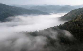 Nebel über dem Fluss / ***