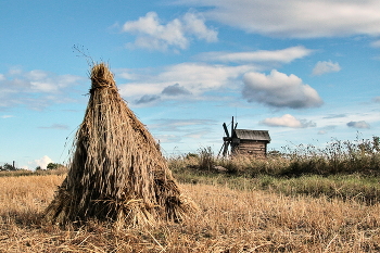 Heuernte / ***