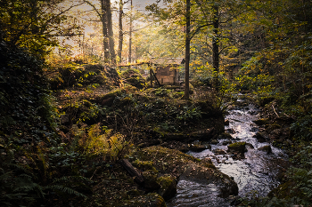 Autumn In Kapnistavi Jungles / Autumn has come to the gorge of seven waterfalls