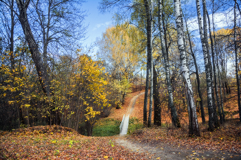 Im Herbst Park / ***