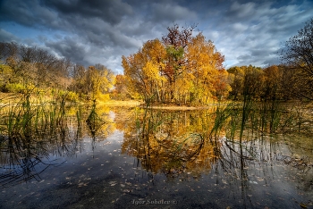 Herbst in Sokolniki / ***