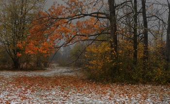 Herbst-Outfit / ***