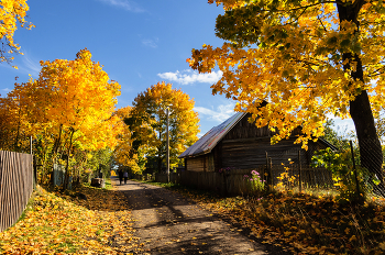 Herbst in der Ortschaft / ***