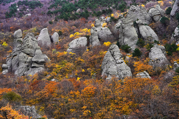 Herbst im Tal der Geister / ***