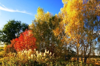 Über Herbst ... / ***