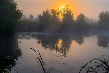 Sommermorgen. / ***