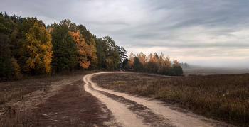 Straße zum Herbst / ***