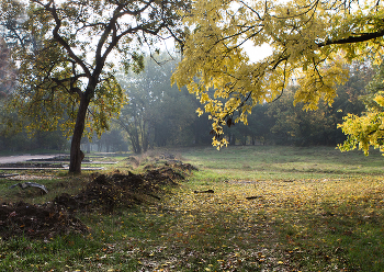 Autumn etude / ***