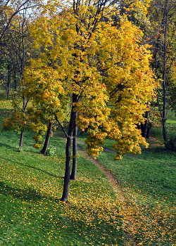 Straße zum Herbst / ***