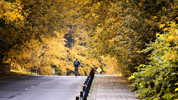 Straße zum Herbst / ***