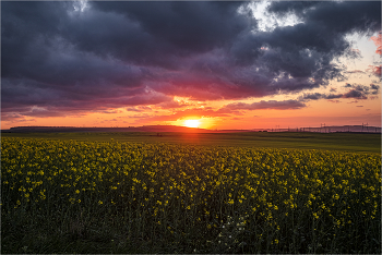 Abenddämmerung / ***