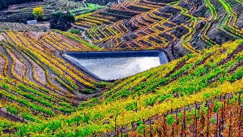 Poboleda - tardor a les vinyes - Priorat / Poboleda - tardor a les vinyes - Priorat