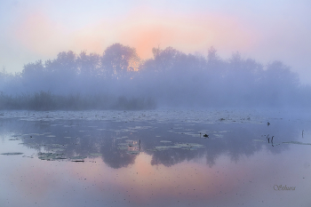 In der Morgendämmerung. / ***