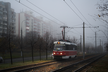 Nebel zerstreut / ***