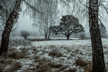 Der Winter kommt / ***