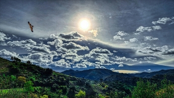 Poboleda - boscos i vinyes - Priorat / Poboleda - boscos i vinyes - Priorat