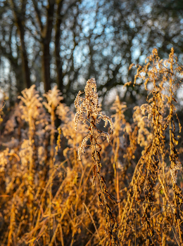 Herbstfarben / ***