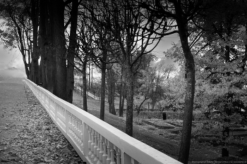 Balustrade / ***