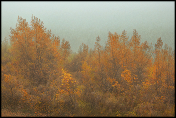 Herbstnebel / ***