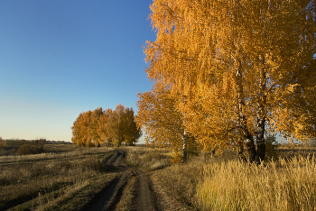 Goldener Herbst / ***