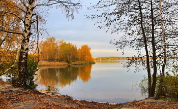 Goldener Herbst / ***