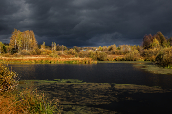 die Kontraste der Herbst / ***