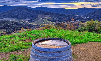 Poboleda - vinyes i bota - Priorat / Poboleda - vinyes i bota - Priorat