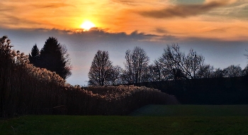 Dinkelberg / Sonnenuntergang auf dem Dinkelberg