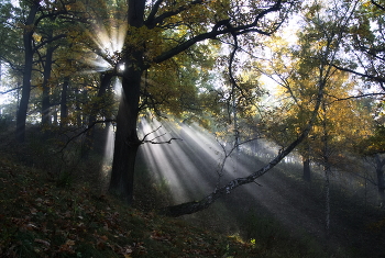 Sonnenaufgang über dem Fluss / ***