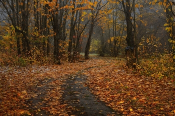 Herbststraße / ***