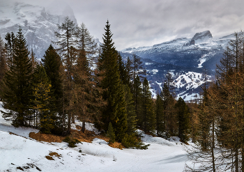 Auf der Piste / ***