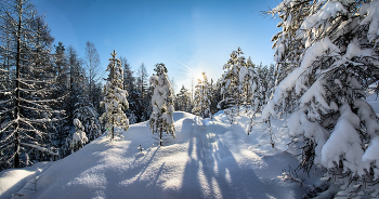 Winter-Nachmittag / ***