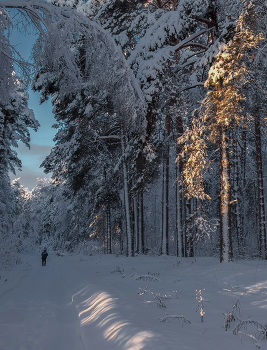 Morgen in den Wald / ***